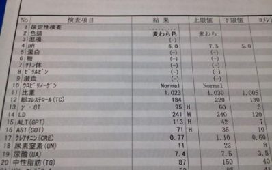 NEC_0143_convert_20131010115219